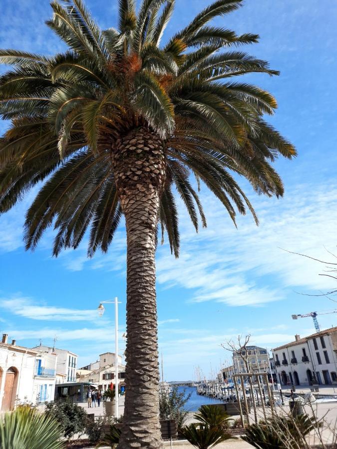Appartement De Charme Sur Le Port De Marseillan Exteriér fotografie