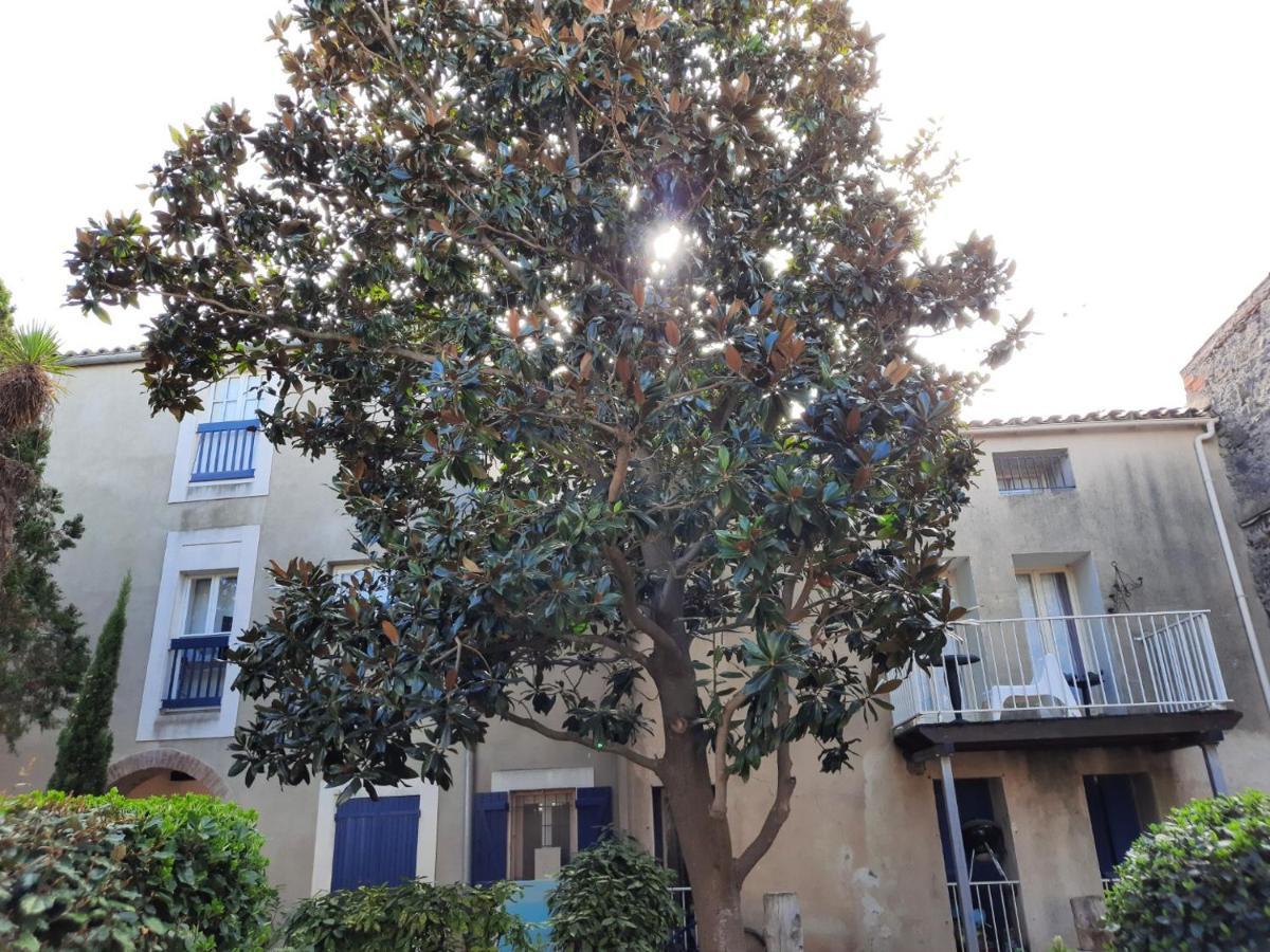 Appartement De Charme Sur Le Port De Marseillan Exteriér fotografie